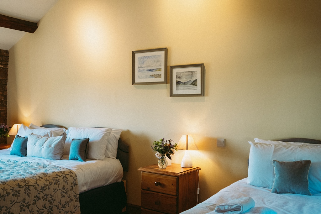 Farmhouse Twin bedroom