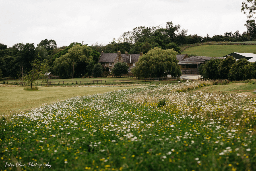 Summer view in crockwell farm